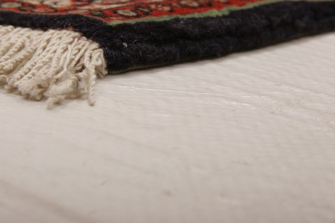 Bidjar Multicolor Hand Knotted 24 X 34 Area Rug 155-74990 Image 8