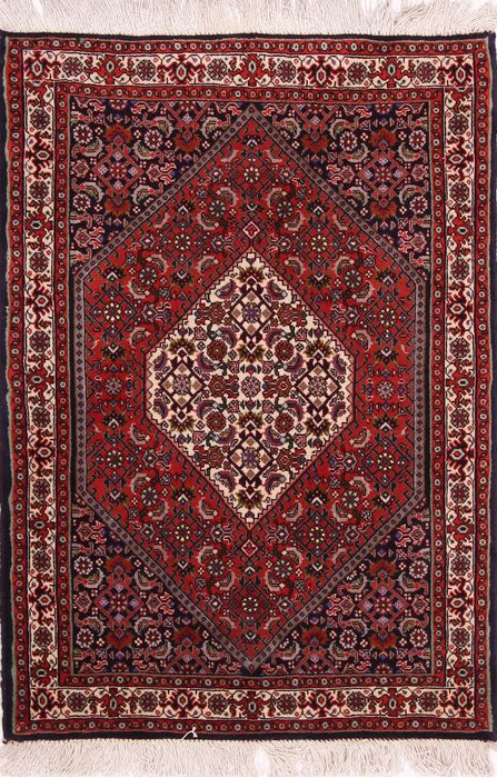Bidjar Multicolor Hand Knotted 24 X 34 Area Rug 155-74990 Image 0