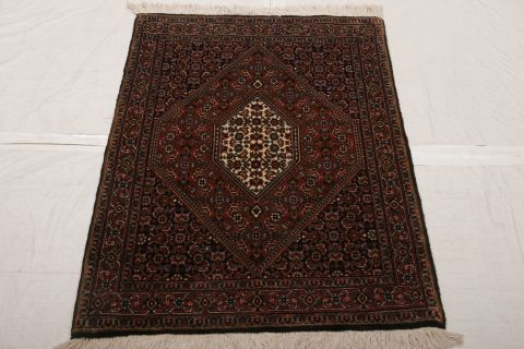 Bidjar Multicolor Hand Knotted 25 X 34  Area Rug 155-74994 Image 2