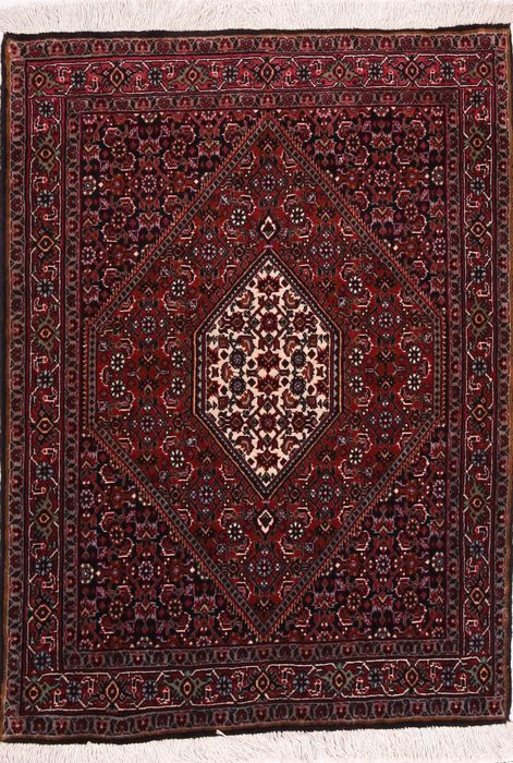 Bidjar Multicolor Hand Knotted 25 X 34  Area Rug 155-74994 Image 0