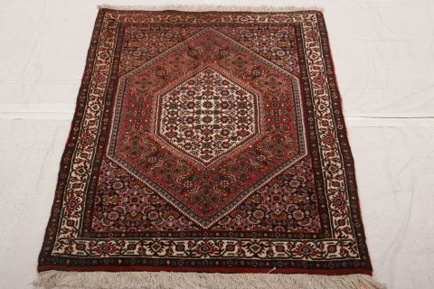 Bidjar Multicolor Hand Knotted 26 X 33 Area Rug 155-74995 Image 1