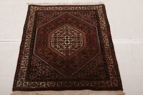 Bidjar Multicolor Hand Knotted 26 X 33 Area Rug 155-74995 Image 2