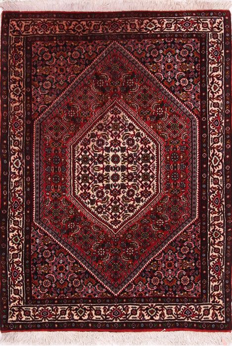Bidjar Multicolor Hand Knotted 26 X 33 Area Rug 155-74995 Image 0