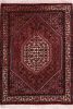 Bidjar Multicolor Hand Knotted 26 X 33 Area Rug 155-74995 Thumb 0