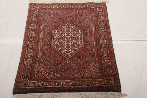 Bidjar Multicolor Hand Knotted 24 X 33  Area Rug 155-74996 Image 1