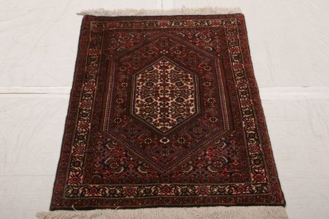 Bidjar Multicolor Hand Knotted 24 X 33  Area Rug 155-74996 Image 2