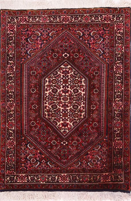 Bidjar Multicolor Hand Knotted 24 X 33  Area Rug 155-74996 Image 0