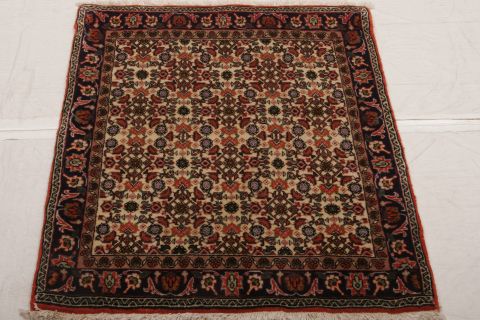 Bidjar Multicolor Hand Knotted 25 X 34 Area Rug 155-75062 Image 1