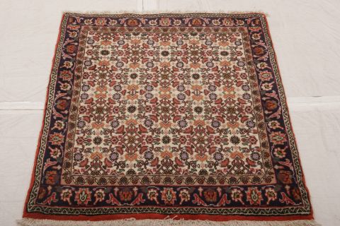 Bidjar Multicolor Hand Knotted 25 X 34 Area Rug 155-75062 Image 2