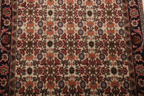 Bidjar Multicolor Hand Knotted 25 X 34 Area Rug 155-75062 Image 3