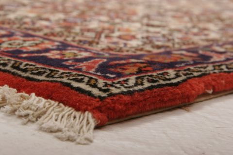 Bidjar Multicolor Hand Knotted 25 X 34 Area Rug 155-75062 Image 8