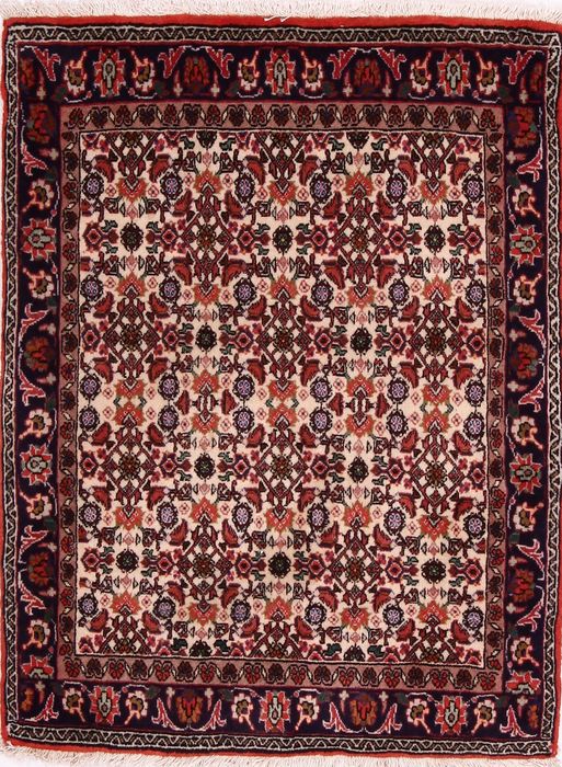 Bidjar Multicolor Hand Knotted 25 X 34 Area Rug 155-75062 Image 0