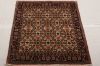 Bidjar Multicolor Hand Knotted 25 X 34 Area Rug 155-75062 Thumb 1