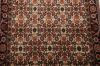 Bidjar Multicolor Hand Knotted 25 X 34 Area Rug 155-75062 Thumb 3