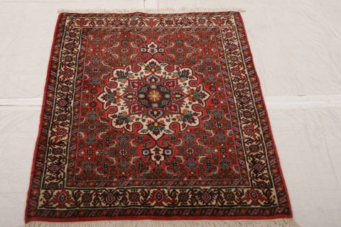 Bidjar Multicolor Hand Knotted 25 X 34  Area Rug 155-75063 Image 2