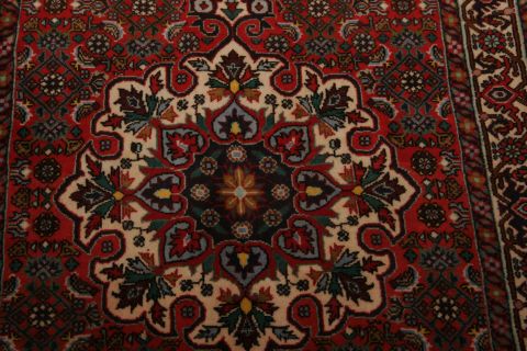 Bidjar Multicolor Hand Knotted 25 X 34  Area Rug 155-75063 Image 3