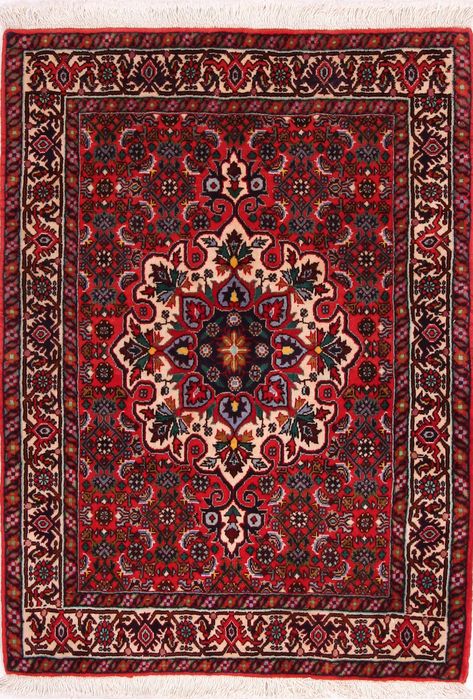 Bidjar Multicolor Hand Knotted 25 X 34  Area Rug 155-75063 Image 0