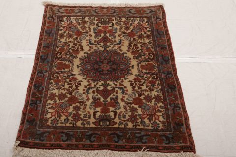 Bidjar Multicolor Hand Knotted 27 X 38  Area Rug 155-75065 Image 1