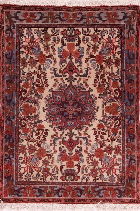 Bidjar Multicolor Hand Knotted 27 X 38  Area Rug 155-75065 Image 0