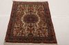 Bidjar Multicolor Hand Knotted 27 X 38  Area Rug 155-75065 Thumb 1