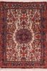 Bidjar Multicolor Hand Knotted 27 X 38  Area Rug 155-75065 Thumb 0