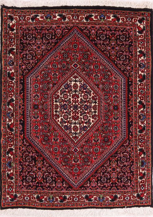 Bidjar Multicolor Hand Knotted 23 X 32  Area Rug 155-75073 Image 0