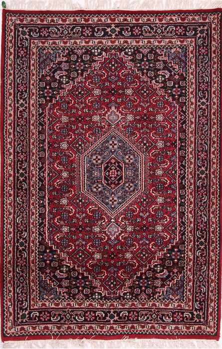Bidjar Multicolor Hand Knotted 40 X 60  Area Rug 155-75204 Image 0