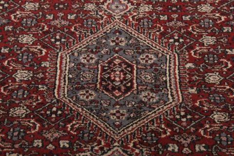 Bidjar Multicolor Hand Knotted 40 X 61  Area Rug 155-75205 Image 3