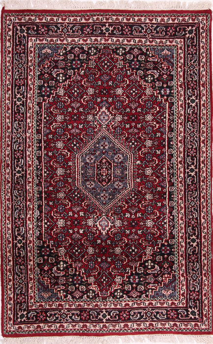 Bidjar Multicolor Hand Knotted 40 X 61  Area Rug 155-75205 Image 0