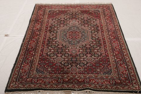 Bidjar Multicolor Hand Knotted 40 X 60  Area Rug 155-75206 Image 1