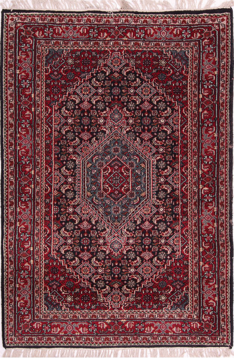 Bidjar Multicolor Hand Knotted 40 X 60  Area Rug 155-75206 Image 0