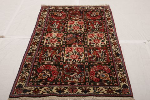 Bakhtiar Multicolor Hand Knotted 36 X 54 Area Rug 155-75258 Image 1