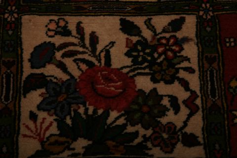 Bakhtiar Multicolor Hand Knotted 35 X 53 Area Rug 155-75267 Image 6