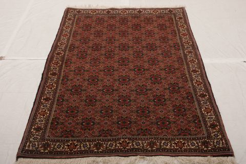 Bidjar Multicolor Hand Knotted 35 X 56  Area Rug 155-75283 Image 2