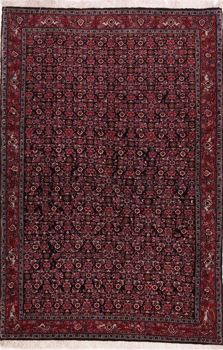 Bidjar Multicolor Hand Knotted 37 X 56 Area Rug 155-75284 Image 0