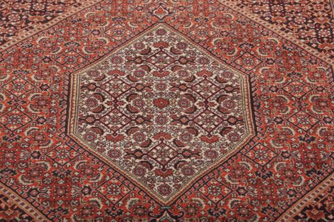 Bidjar Multicolor Hand Knotted 39 X 54 Area Rug 155-75289 Image 3