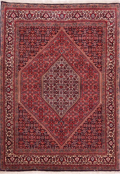 Bidjar Multicolor Hand Knotted 39 X 54 Area Rug 155-75289 Image 0
