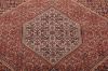Bidjar Multicolor Hand Knotted 39 X 54 Area Rug 155-75289 Thumb 3