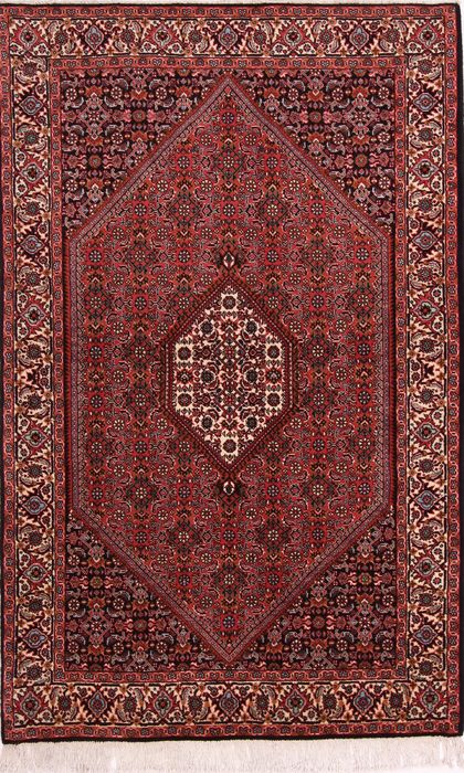 Bidjar Multicolor Hand Knotted 36 X 58  Area Rug 155-75294 Image 0