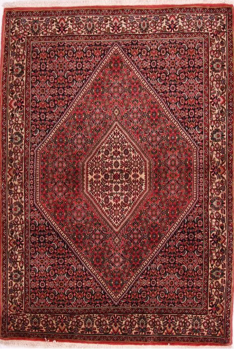 Bidjar Multicolor Hand Knotted 39 X 55  Area Rug 155-75296 Image 0