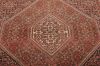 Bidjar Multicolor Hand Knotted 39 X 55  Area Rug 155-75296 Thumb 3