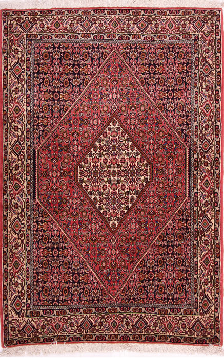 Bidjar Multicolor Hand Knotted 36 X 55  Area Rug 155-75297 Image 0