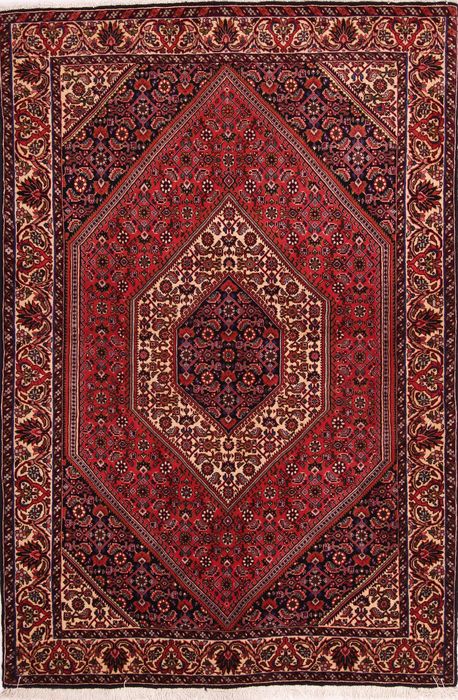 Bidjar Multicolor Hand Knotted 37 X 55  Area Rug 155-75299 Image 0