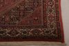 Bidjar Multicolor Hand Knotted 37 X 57  Area Rug 155-75301 Thumb 4