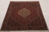 Bidjar Multicolor Hand Knotted 36 X 52  Area Rug 155-75340 Thumb 2