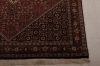 Bidjar Multicolor Hand Knotted 36 X 52  Area Rug 155-75340 Thumb 4