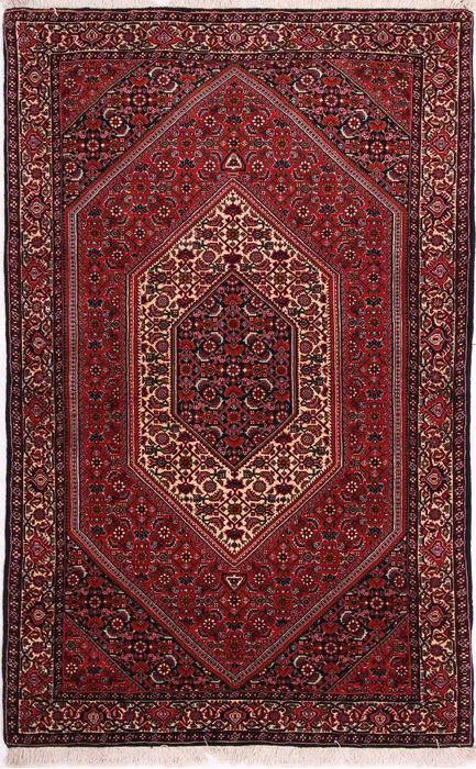 Bidjar Multicolor Hand Knotted 37 X 60 Area Rug 155-75347 Image 0