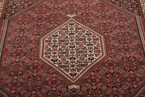 Bidjar Multicolor Hand Knotted 37 X 57  Area Rug 155-75348 Image 3