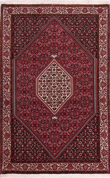 Bidjar Multicolor Hand Knotted 37 X 57  Area Rug 155-75348 Image 0