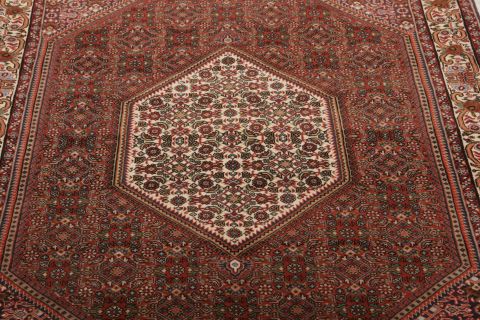 Bidjar Multicolor Hand Knotted 37 X 59 Area Rug 155-75350 Image 4